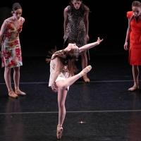 BWW Reviews: American Repertory Ballet Wows Audience with RITE OF SPRING