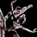 BWW Reviews: Houston Ballet's WOMEN@ART is Exquisite and Engaging