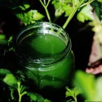 Garden to Glass in the New Year: Ocean Glow Organic Juice Drinks