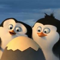 VIDEO: All-New PENGUINS OF MADAGASCAR Trailer is Here! Video