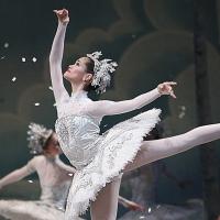 The National Ballet of Canada Announces 2014-2015 Season and Touring Schedule Video