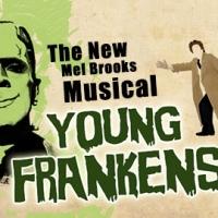 BWW Interviews: YOUNG FRANKENSTEIN Set to Open at the Apollo Civic Theater Video