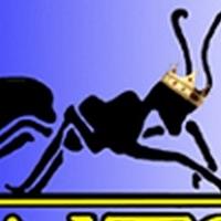 NJ Rep Presents ANTS, Now Through 3/10