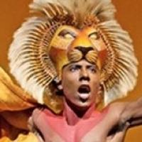 Stars of THE LION KING on Broadway Lose Homes in Fire, GoFundMe Started in Their Hono Video