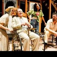 BWW Reviews: THE NIGHT OF THE IGUANA Opens at the Metropolitan Ensemble Theatre in Ka Video