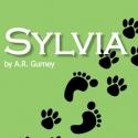 The Phoenix Theatre Presents Gurney's SYLVIA, Directed by Rick Wright, 10/9 - 11/11 Video