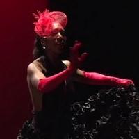 BWW Reviews: Art Imitates Life in THE LOOK OF FEELING Video