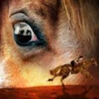 Tickets to WAR HORSE at Hobby Center Now On Sale Video