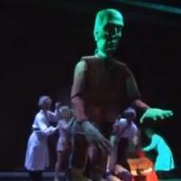 STAGE TUBE: First Look at John Bolton and More in Highlights of Ogunquit's YOUNG FRAN Video