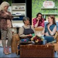 BWW Reviews: STEEL MAGNOLIAS Shines at City Theatre Video