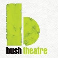Bush Theatre And Hightide Festival Theatre Present PUSSY RIOT: HUNGER STRIKE, Oct 8-9 Video