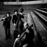 PROJECT Trio Performs at Caramoor Tonight Video