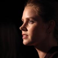VIDEO: Amy Adams Wows Karaoke Crowd with WICKED's 'Defying Gravity'