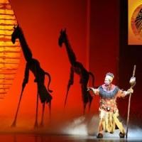 BWW Reviews: THE LION KING Should Not Be Missed at the Detroit Opera House! Video