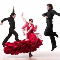 Brooklyn Center for the Performing Arts Presents Flamenco Vivo Tonight Video