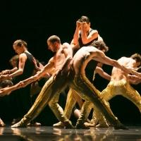 New York City Center's 2014 Fall for Dance Festival Opens 9/12-13 at the Delacorte Th Video