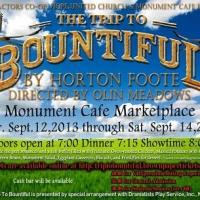 BWW Reviews: Strong, Understated Performances at Core of A TRIP TO BOUNTIFUL Video