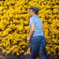 TV Preview: BIG FISH Opens Tonight Starring Norbert Leo Butz, Kate Baldwin