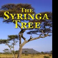 Theatre Horizon to Open 10th Season with THE SYRINGA TREE, 10/16-11/9 Video
