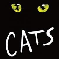 Marriott Theatre to Stage Andrew Lloyd Webber's CATS, 3/26-5/25 Video