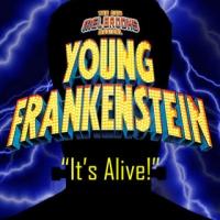 DOMA Theatre Company's YOUNG FRANKENSTEIN Runs Now thru 11/16 Video