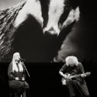 Ellis and May To Release 'Nothing Has Really Changed' Video