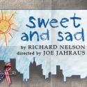 Profiles Theatre's SWEET AND SAD Features Co-Artistic Director Darrell W. Cox, 8/17-1 Video