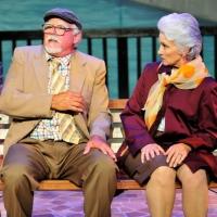 BWW Reviews: THE LAST ROMANCE Captures A Bittersweet Love Story Blossoming On A Dog P Video