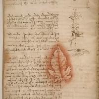 Rare Leonardo da Vinci Masterpiece on View at National Air and Space Museum, Now thru Video