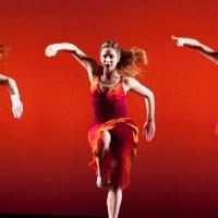 Brancaccino Teatro Ragazzi Stagione 2014-2015