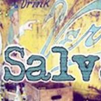 First Folio Theatre Sets Post-Show Panel Discussion Series for SALVAGE Video