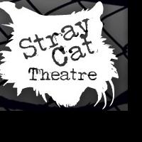 Stray Cat Theatre Announces 2014-2015 Season Video