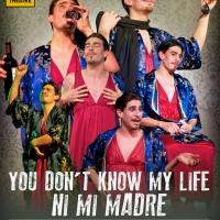 Barrow Street Theatre to Present YOU DON'T KNOW MY LIFE, NI MI MADRE Today Video
