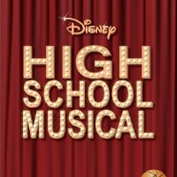 Terrace Plaza Playhouse Stages HIGH SCHOOL MUSICAL, Now thru 9/20
