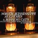 North Mississippi Allstars and Missing Cats to Play the Fox Theatre, 9/14 Video