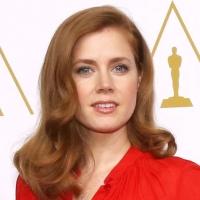 Fashion Photo of the Day 2/13/14 - Amy Adams