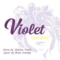 Street Theatre Company Presents VIOLET, Now thru 5/4 Video