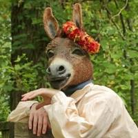 American Repertory Ballet Brings A MIDSUMMER NIGHT'S DREAM to the State Theatre This…