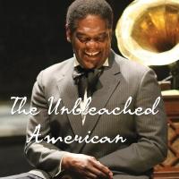 Stoneham Theatre to Present THE UNBLEACHED AMERICAN, 4/10-27 Video