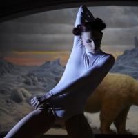 Karole Armitage to Premiere New Work at the American Museum of Natural History, 3/25 Video