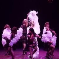 STAGE TUBE: First Look at Brent Barrett, Alan Mingo Jr., Kevin Cooney and More in Highlights of LA CAGE AUX FOLLES at Music Circus