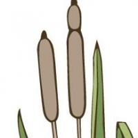 Reedy Point Players Now Accepting Play Submissions for 2014-15 Season