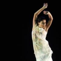 Noche Flamenca, Erin Markey, Pete Seeger Sing Along and More Set for Joe's Pub, Now t Video