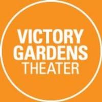 Victory Gardens Theater to Premiere AN ISSUE OF BLOOD, 4/3-5/3 Video