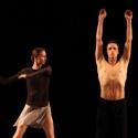 Photo Coverage: Bolshoi Ballet's Svetlana Zakharova & Andrei Merkuriev Perform 'Dista Video