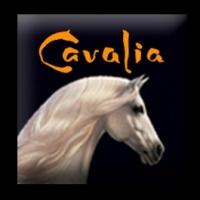 CAVALIA Extends Through June 2 in Sydney
