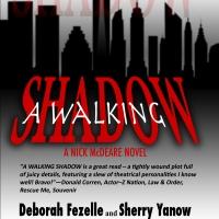 BWW Reviews: A WALKING SHADOW by Fezelle and Yanow Captivates