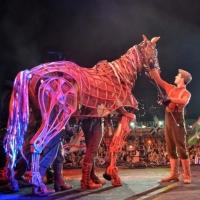 Photo Flash: WAR HORSE's Joey Comes to BBC's Proms in the Park Video