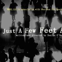 BWW Reviews: Denise O'Neal's JUST A FEW FEET AWAY is Thrilling