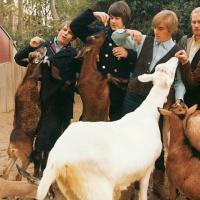 The Beach Boys' 1966 Masterpiece PET SOUNDS Debuts on Blu-ray Audio Today Video